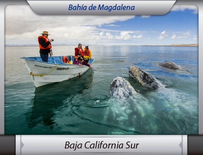 Mudanzas de la Ciudad de México a Baja California Sur