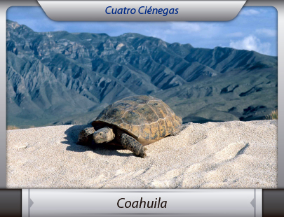 Mudanzas de la Ciudad de México a Coahuila
