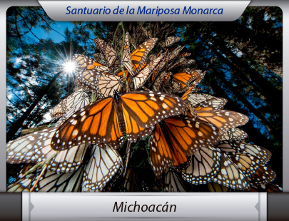 Mudanzas de la Ciudad de México a Michoacán