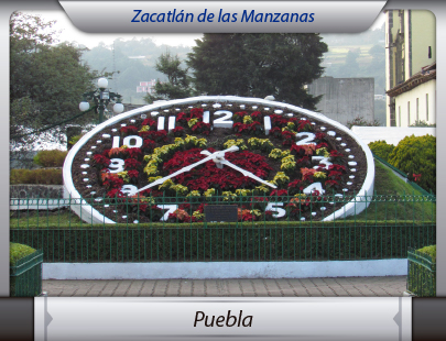 Mudanzas de la Ciudad de México a Puebla