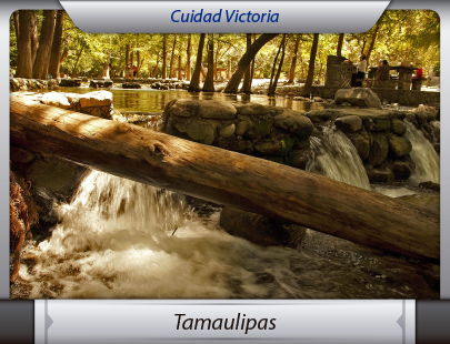 Mudanzas de la Ciudad de México a Tamaulipas